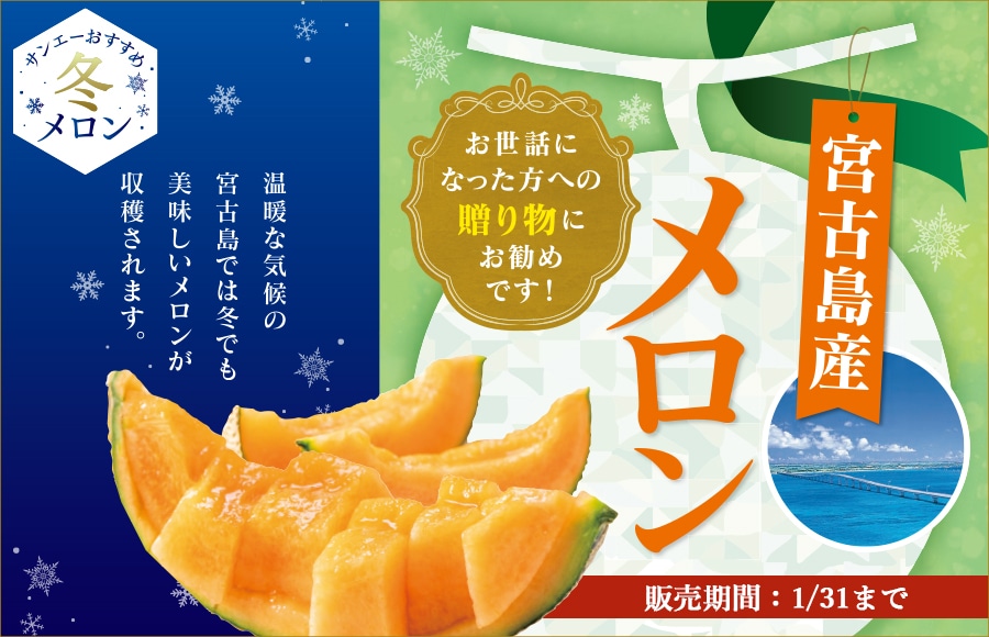 宮古産赤肉メロン