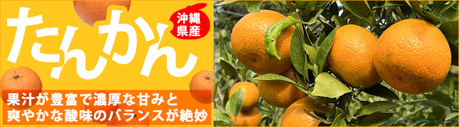 沖縄県産たんかん